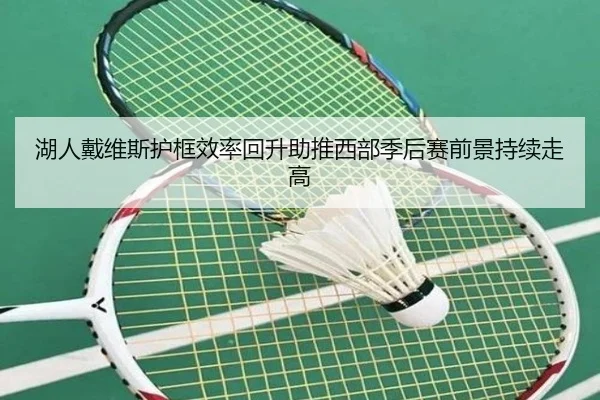 湖人戴维斯护框效率回升助推西部季后赛前景持续走高