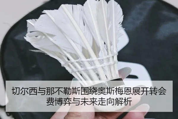 切尔西与那不勒斯围绕奥斯梅恩展开转会费博弈与未来走向解析