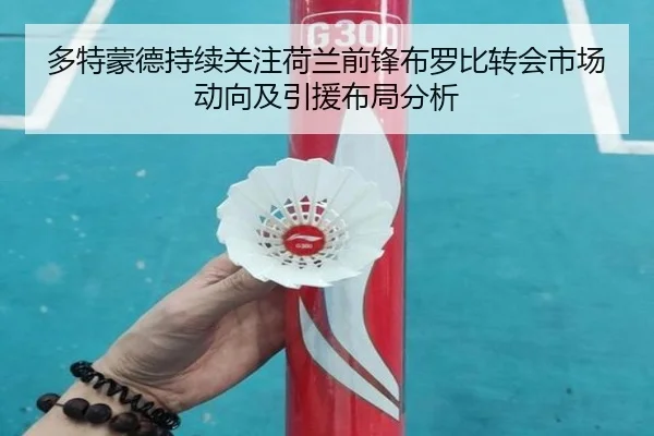 多特蒙德持续关注荷兰前锋布罗比转会市场动向及引援布局分析