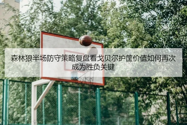 森林狼半场防守策略复盘看戈贝尔护筐价值如何再次成为胜负关键